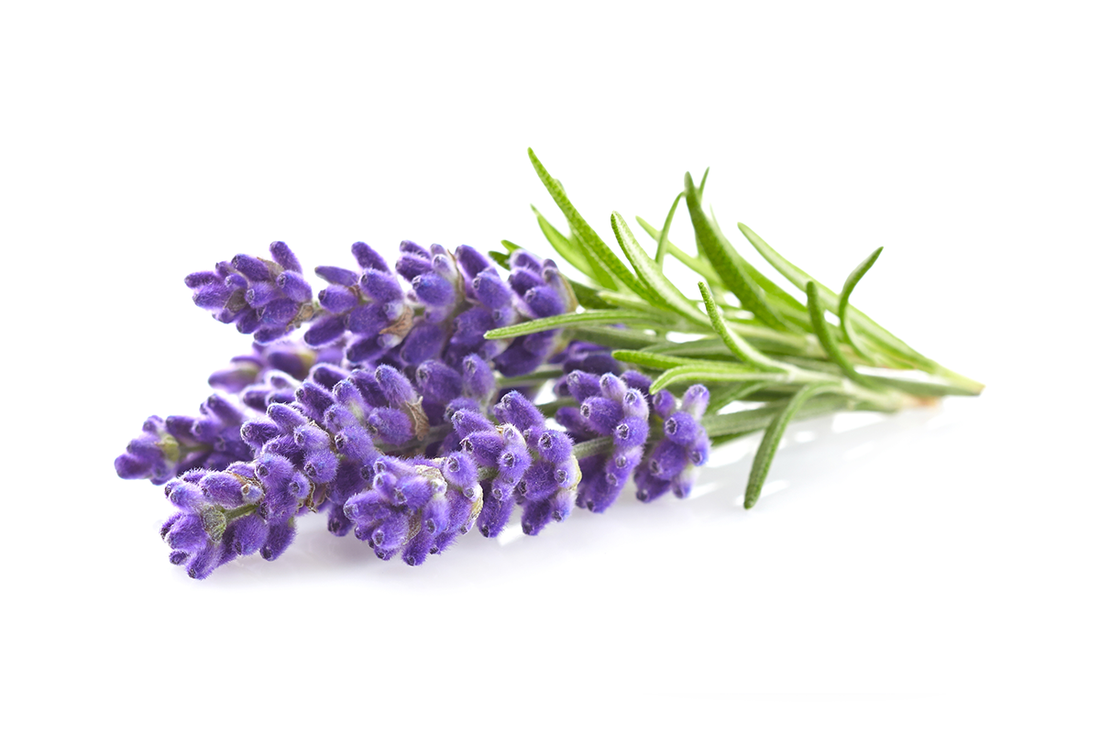 Benefits of Linalool for Perimenopause Sleep Support