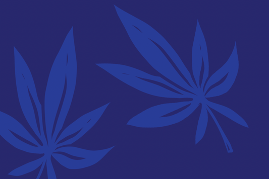 National Hemp Day two blue hemp leaf illustrations on blue background