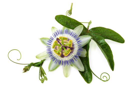 Benefits of passion flower for perimenopause sleep support
