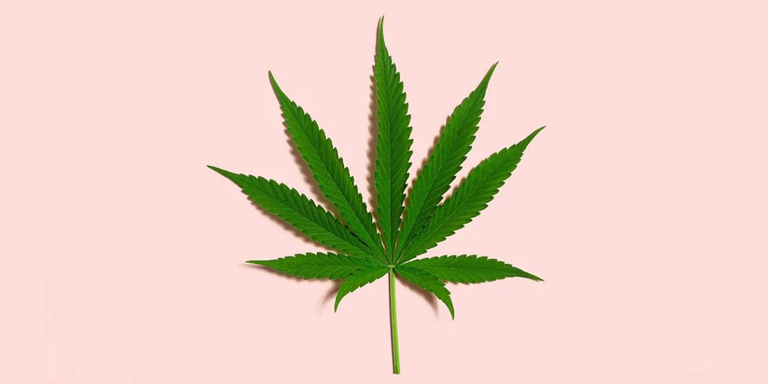 The Ultimate Guide to CBD and Perimenopause