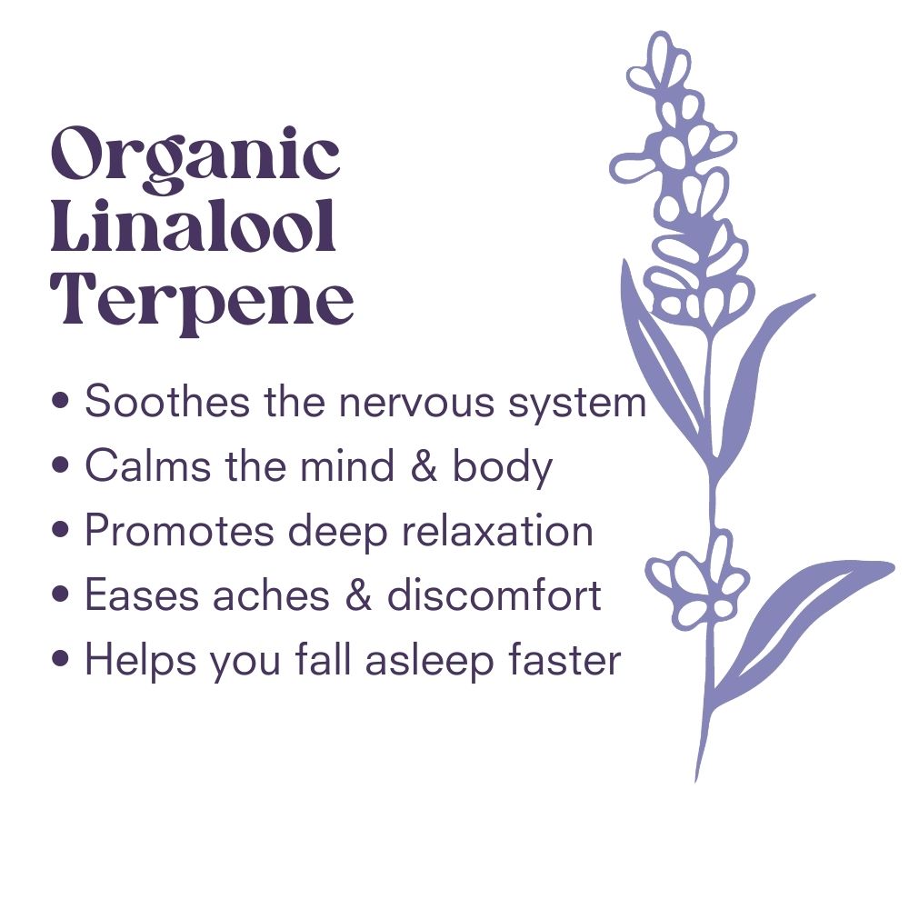 Rest Perimenopause Sleep Support