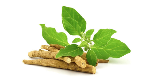 Benefits of Ashwagandha for Perimenopause