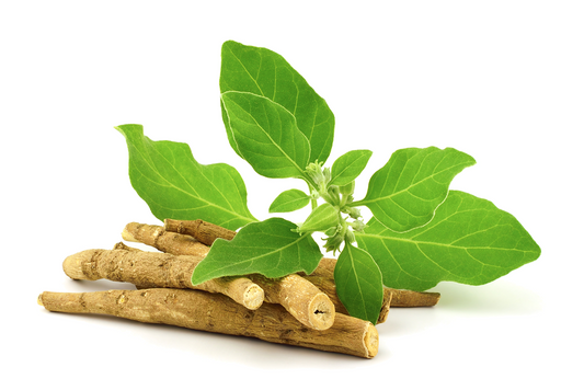 How Ashwagandha Supports Perimenopause