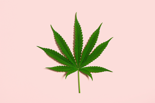 Benefits of CBD for Perimenopause Symptoms