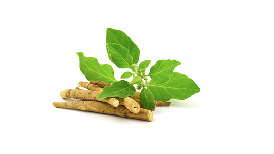 Benefits of Ashwagandha for Perimenopause