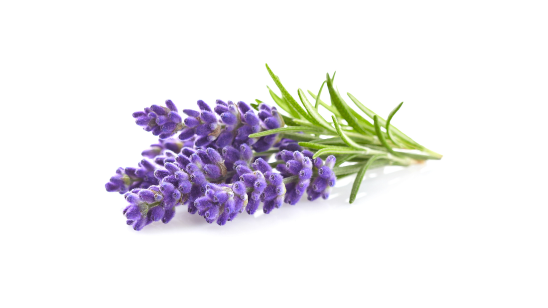 Benefits of Linalool for Perimenopause Sleep Support