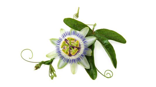 Benefits of Passionflower for Perimenopause