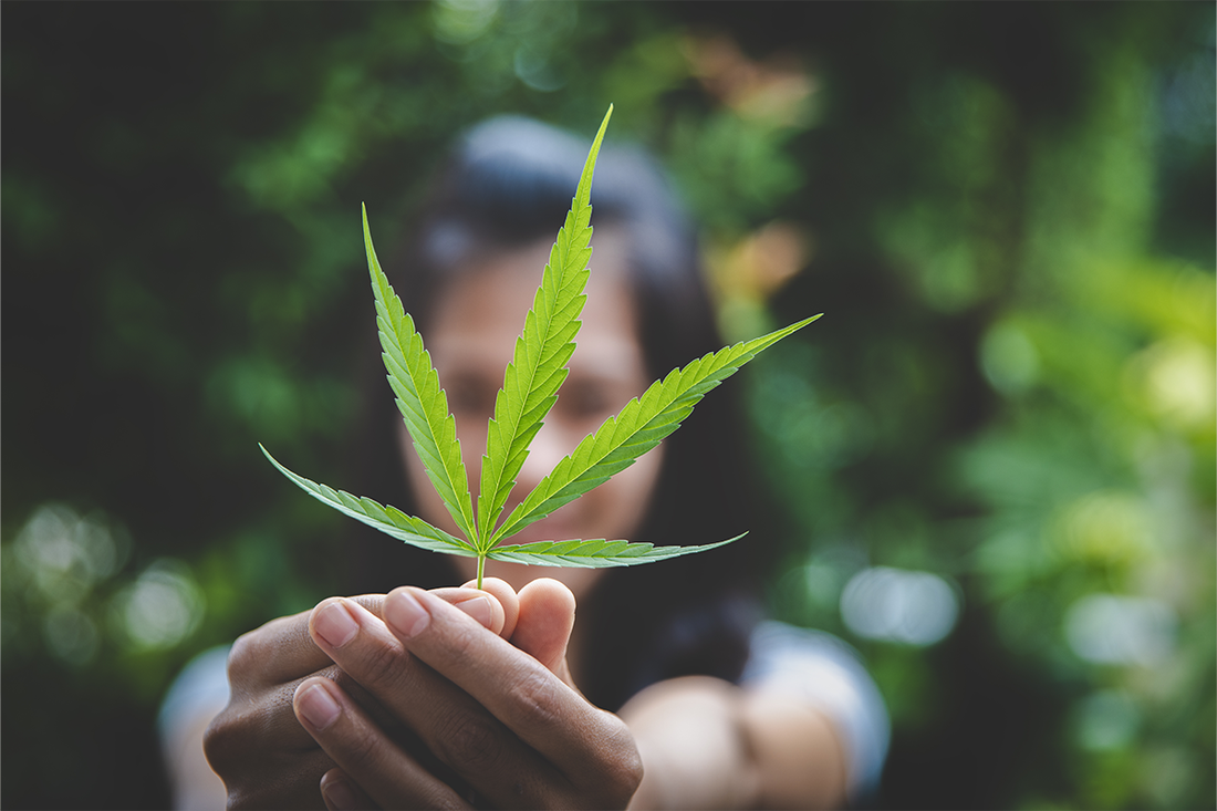 The Endocannabinoid System and Perimenopause