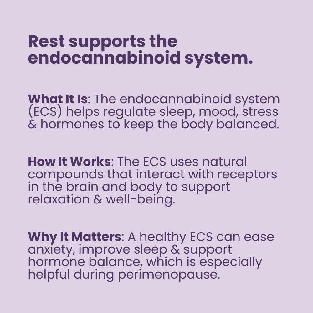 Rest Perimenopause Sleep Support