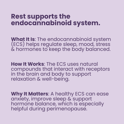 Rest Perimenopause Sleep Support