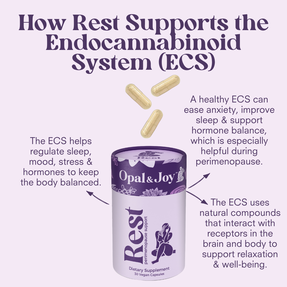 How Rest perimenopause Sleep Support 30 day Supply supports the endocannabinoid system