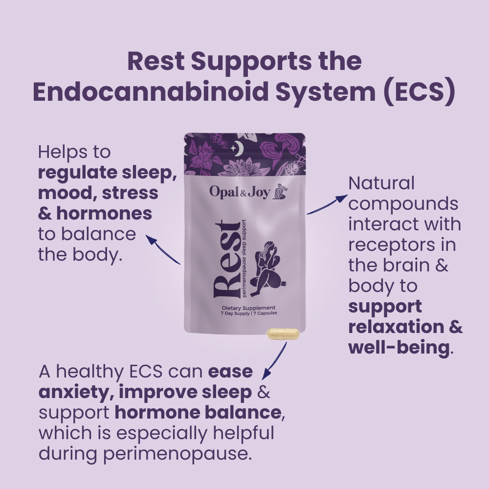 Restorative Sleep System | Travel Size | 7 Days